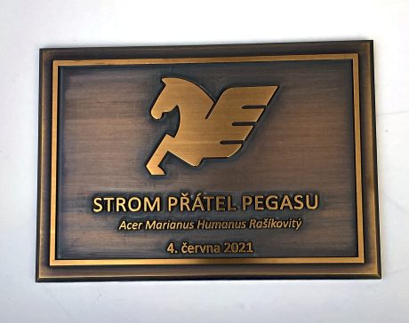 realizace - Mosazná pamětní deska Strom přátel Pegasu